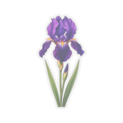 Purple Iris Flower Sticker Decal, Blossom Floral Watercolor Art Vinyl Cute Waterbottle Tumbler Car Waterproof Bumper Clear Die Cut Wall - Starcove Fashion