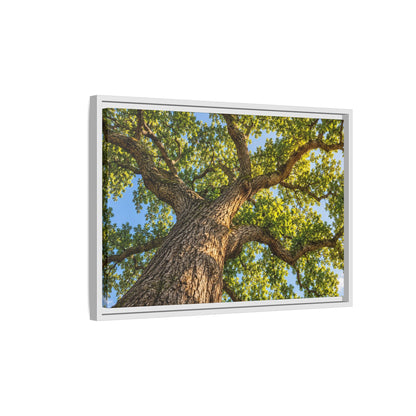 Oak Tree Canopy Canvas Wood Framed, Green Foliage Sunlit Woodland Wall Art Print Artwork Decor Small Large Hanging Matte Modern Landscape