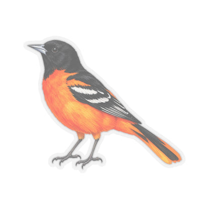 Baltimore Oriole Bird Sticker Decal, Orange Birdwatcher Watercolor Art Vinyl Laptop Waterbottle Tumbler Car Waterproof Bumper Clear Die Cut