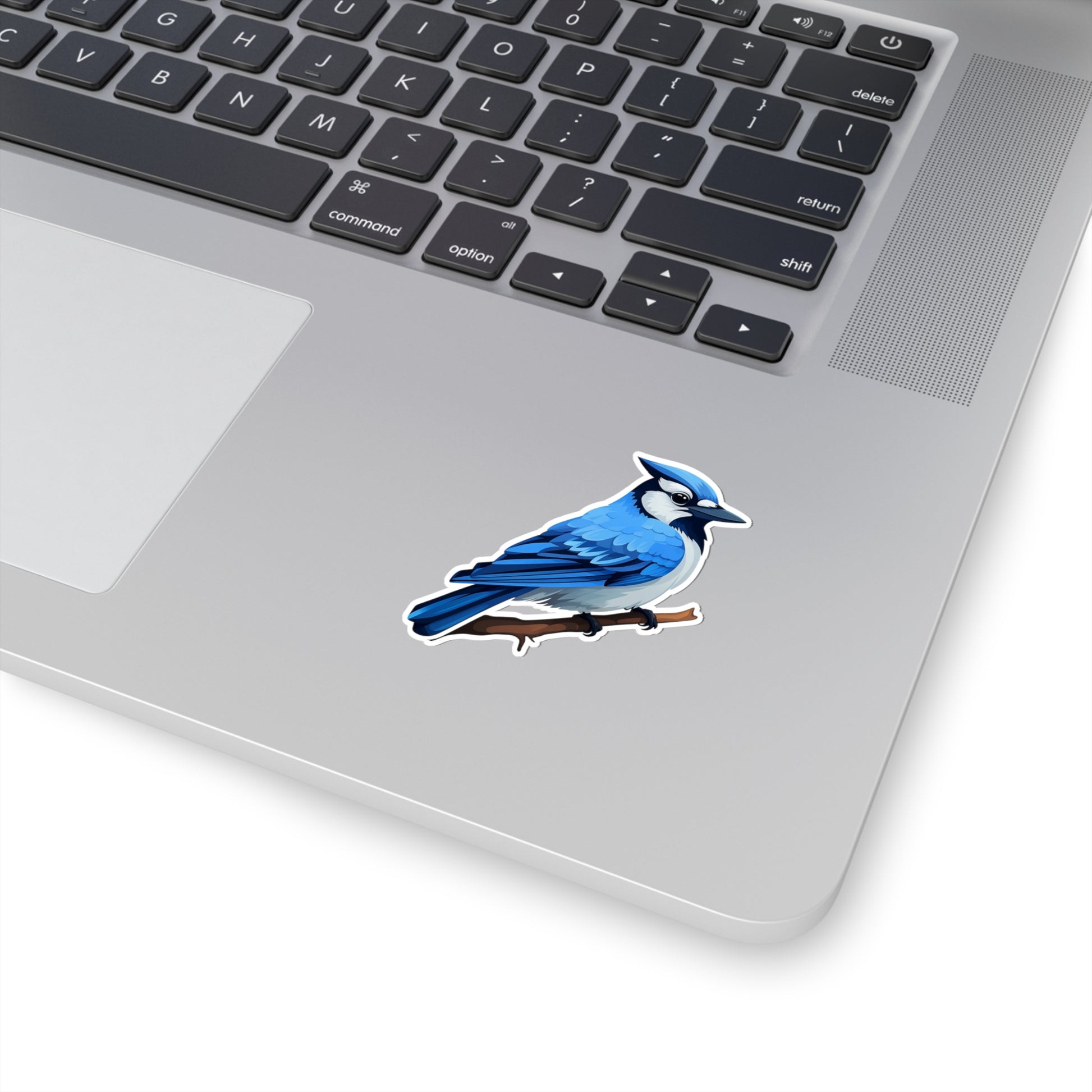 Blue Jay Sticker Decal, Bird Art Vinyl Laptop Cute Waterbottle Tumbler Car Waterproof Bumper Clear Aesthetic Die Cut Wall Starcove Fashion