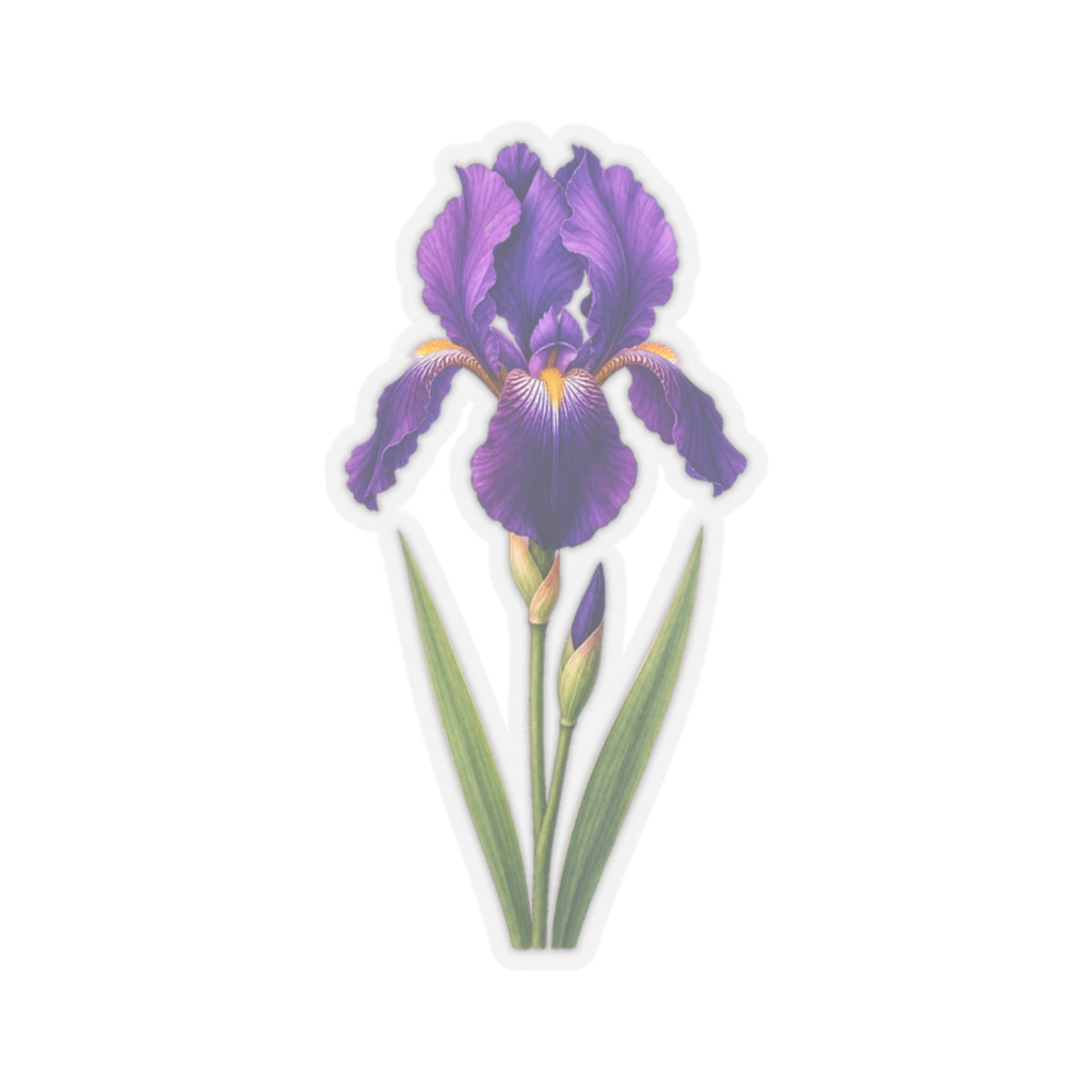 Purple Iris Flower Sticker Decal, Blossom Floral Watercolor Art Vinyl Cute Waterbottle Tumbler Car Waterproof Bumper Clear Die Cut Wall - Starcove Fashion