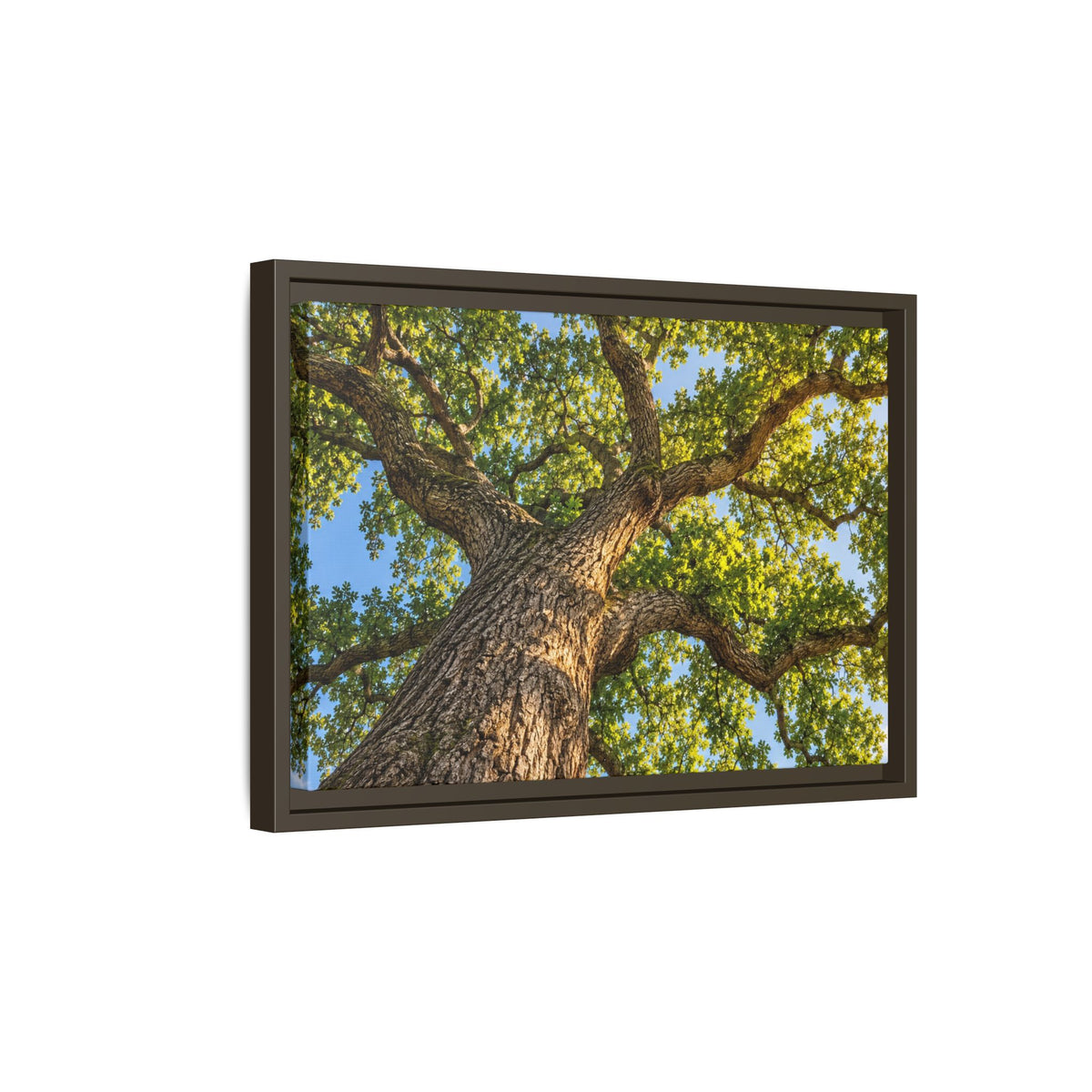 Oak Tree Canopy Canvas Wood Framed, Green Foliage Sunlit Woodland Wall Art Print Artwork Decor Small Large Hanging Matte Modern Landscape