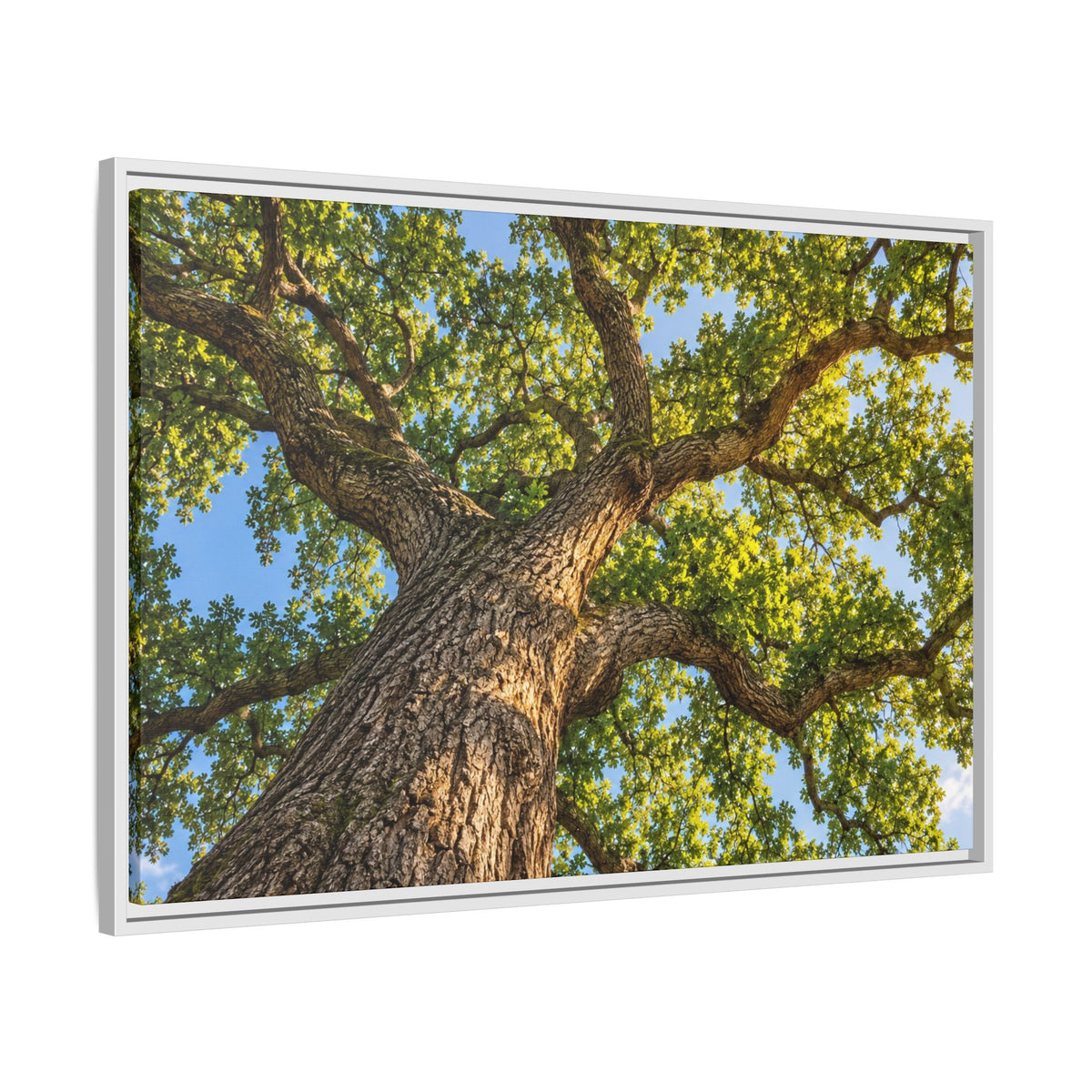 Oak Tree Canopy Canvas Wood Framed, Green Foliage Sunlit Woodland Wall Art Print Artwork Decor Small Large Hanging Matte Modern Landscape