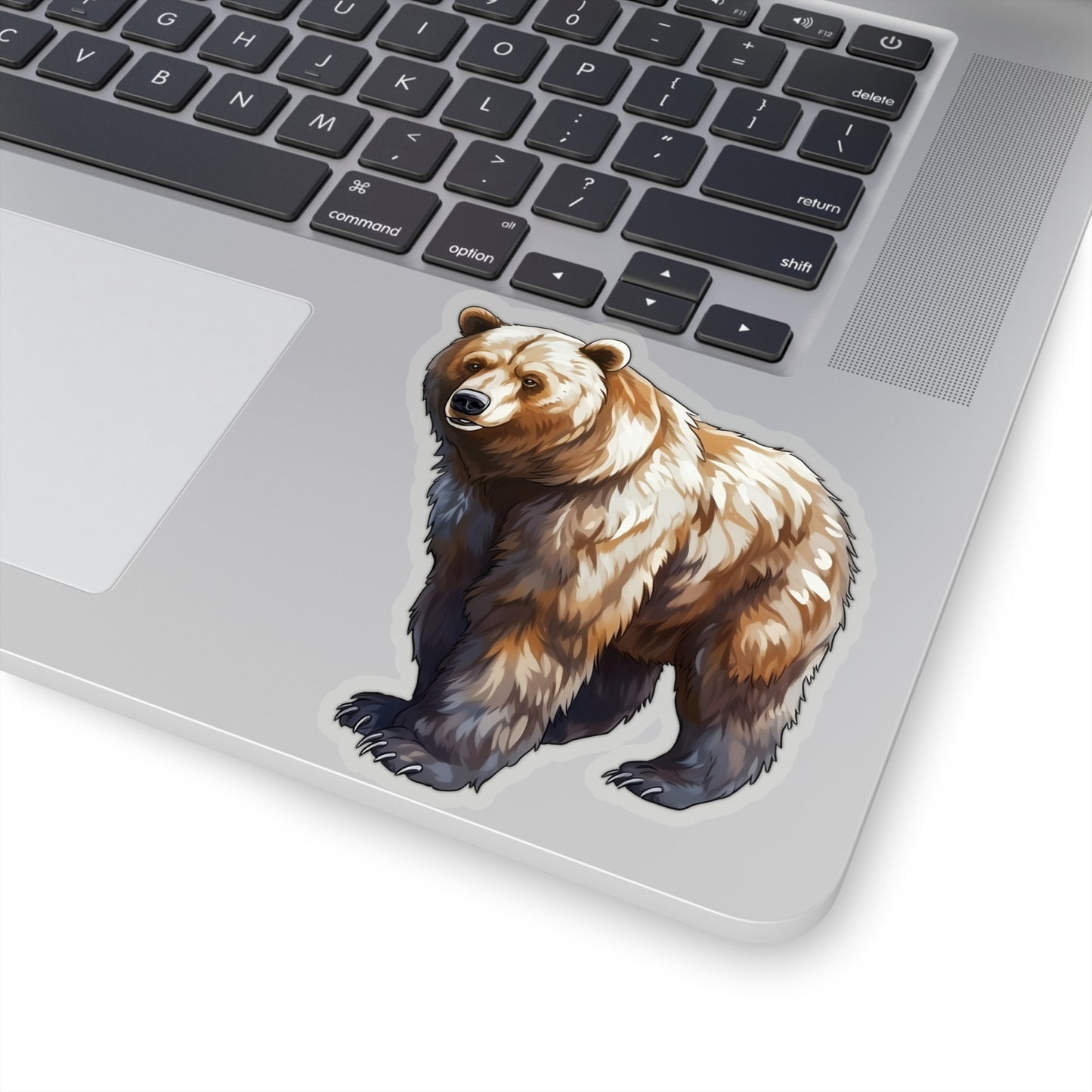 Grizzly Bear Sticker Decal, Animal Art Vinyl Laptop Cute Waterbottle Tumbler Car Waterproof Bumper Clear Aesthetic Die Cut Wall