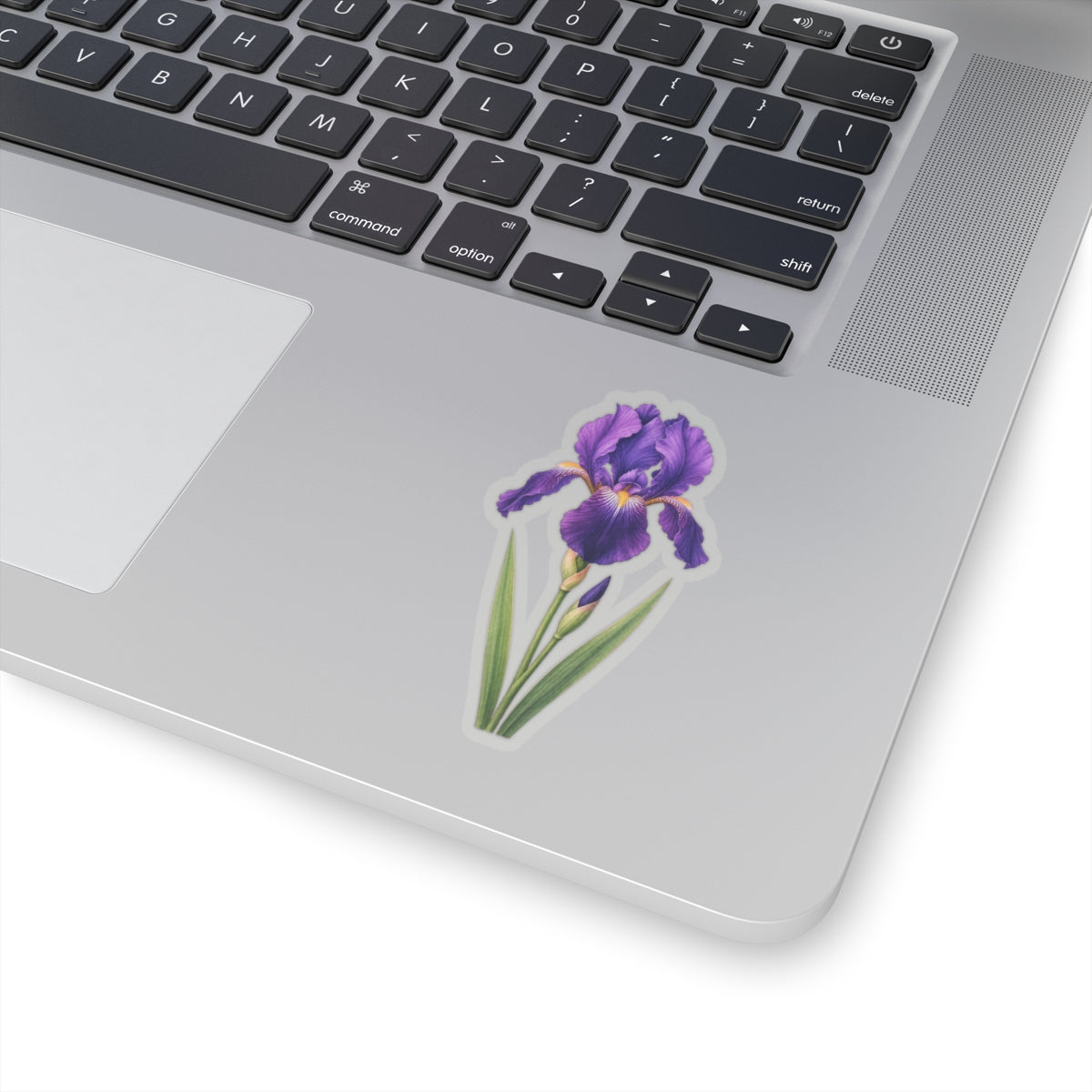 Purple Iris Flower Sticker Decal, Blossom Floral Watercolor Art Vinyl Cute Waterbottle Tumbler Car Waterproof Bumper Clear Die Cut Wall - Starcove Fashion