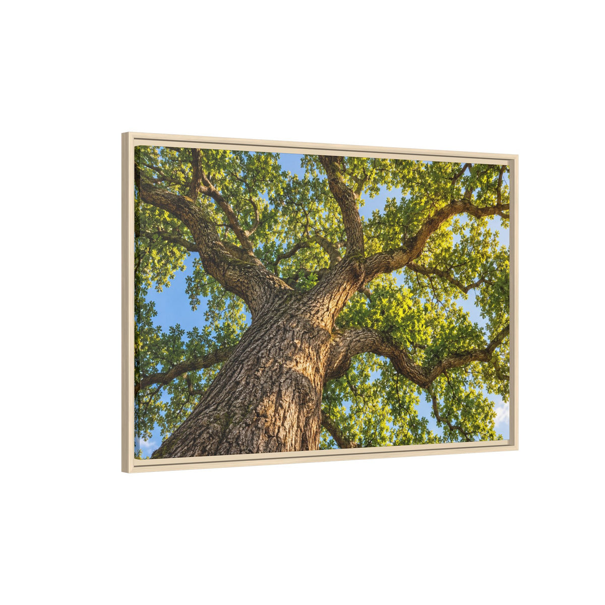 Oak Tree Canopy Canvas Wood Framed, Green Foliage Sunlit Woodland Wall Art Print Artwork Decor Small Large Hanging Matte Modern Landscape
