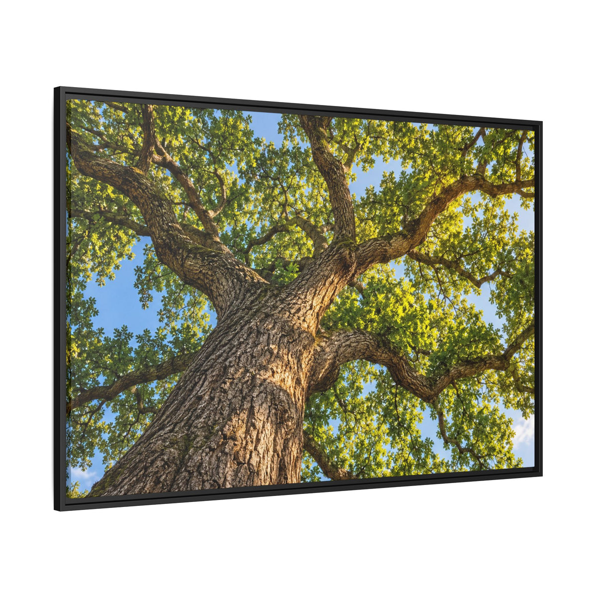 Oak Tree Canopy Canvas Wood Framed, Green Foliage Sunlit Woodland Wall Art Print Artwork Decor Small Large Hanging Matte Modern Landscape