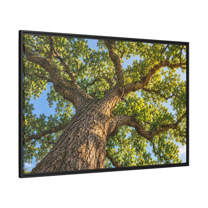 Oak Tree Canopy Canvas Wood Framed, Green Foliage Sunlit Woodland Wall Art Print Artwork Decor Small Large Hanging Matte Modern Landscape