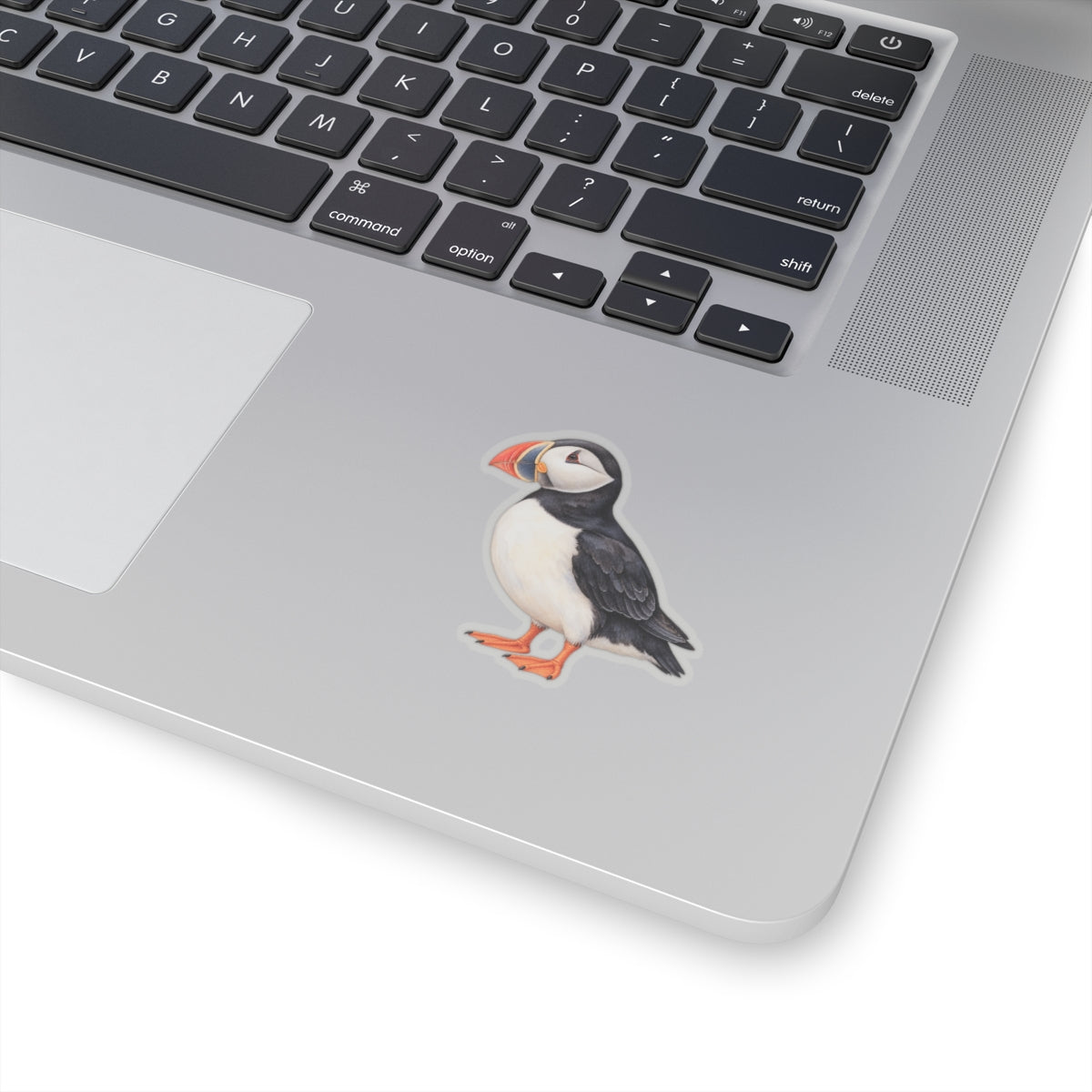 Atlantic Puffin Sticker Decal, Bird Seabird Watercolor Art Vinyl Laptop Cute Waterbottle Tumbler Car Waterproof Bumper 4x4 Clear Die Cut