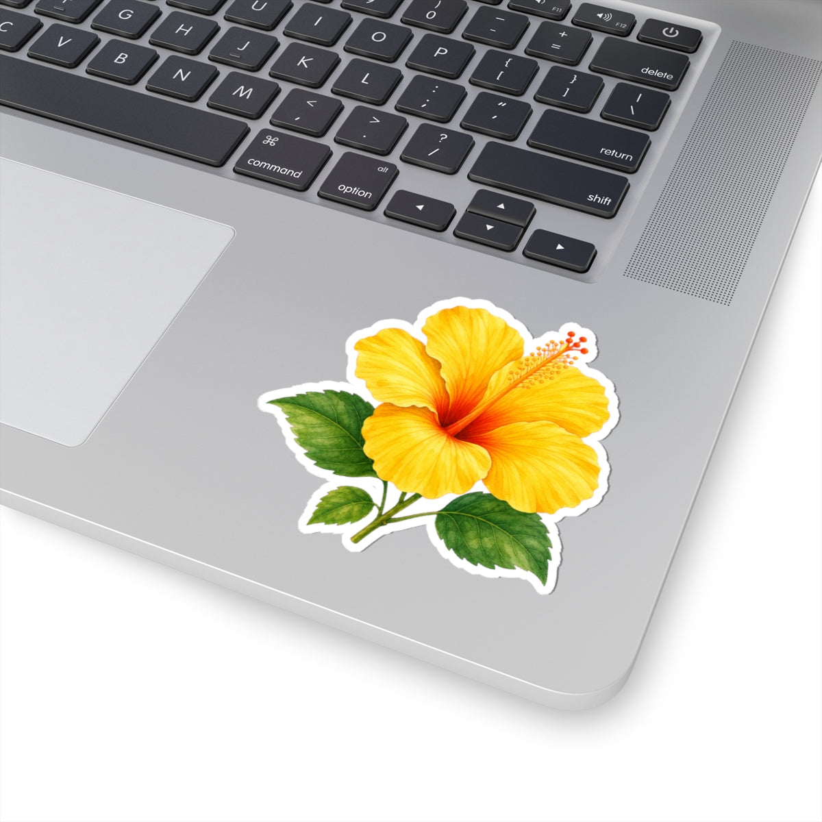 Yellow Hibiscus Flower Sticker Decal, Blossom Floral Watercolor Art Vinyl Cute Waterbottle Tumbler Car Waterproof Bumper Clear Die Cut Wall - Starcove Fashion