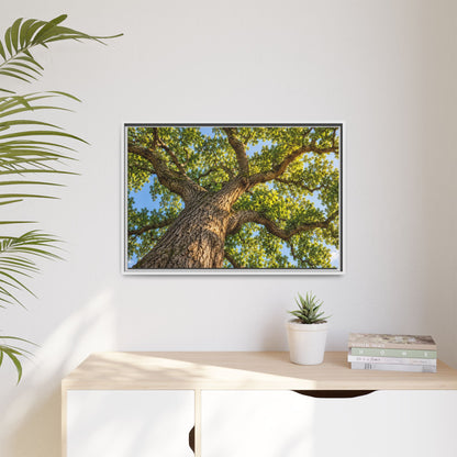 Oak Tree Canopy Canvas Wood Framed, Green Foliage Sunlit Woodland Wall Art Print Artwork Decor Small Large Hanging Matte Modern Landscape