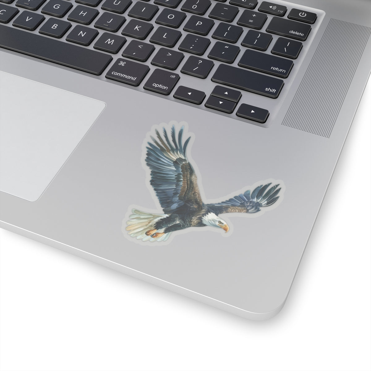 Bald Eagle Flying Sticker Decal, Watercolor Animal Bird Art Vinyl Laptop Cute Waterbottle Tumbler Car Waterproof Bumper Clear Aesthetic