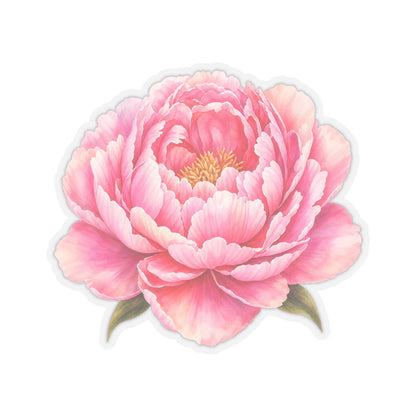 Pink Peony Flower Sticker Decal, Blossom Floral Watercolor Art Vinyl Cute Waterbottle Tumbler Car Waterproof Bumper Clear Die Cut Wall - Starcove Fashion