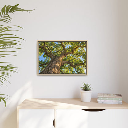 Oak Tree Canopy Canvas Wood Framed, Green Foliage Sunlit Woodland Wall Art Print Artwork Decor Small Large Hanging Matte Modern Landscape