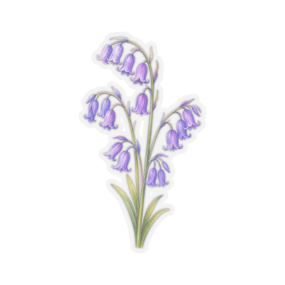 Purple Bluebell Flower Sticker Decal, Floral Watercolor Art Vinyl Cute Waterbottle Tumbler Car Waterproof Bumper Clear Die Cut Wall - Starcove Fashion