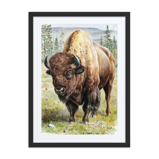 Bison Poster and Frame, Yellowstone National Park Watercolor Retro Vintage Print Wall Vertical Black Brown Framed Artwork Paper 18x24 16x20