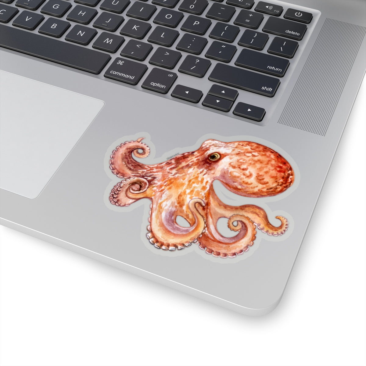 Octopus Stickers, Realistic Watercolor Art Laptop Vinyl Cute Waterbottle Tumbler Car Aesthetic Label Wall Phone Decal Die Cut Starcove Fashion