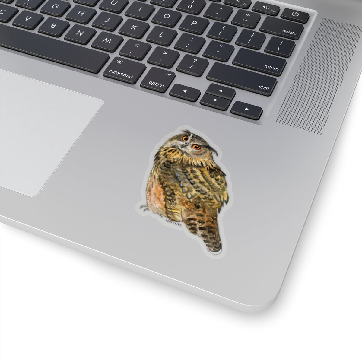 Owl Decal Stickers, Wildlife Ecology Bird Animal, stickers Laptop Vinyl Cute Waterproof Waterbottle Tumbler Car Bumper Aesthetic Wall Starcove Fashion