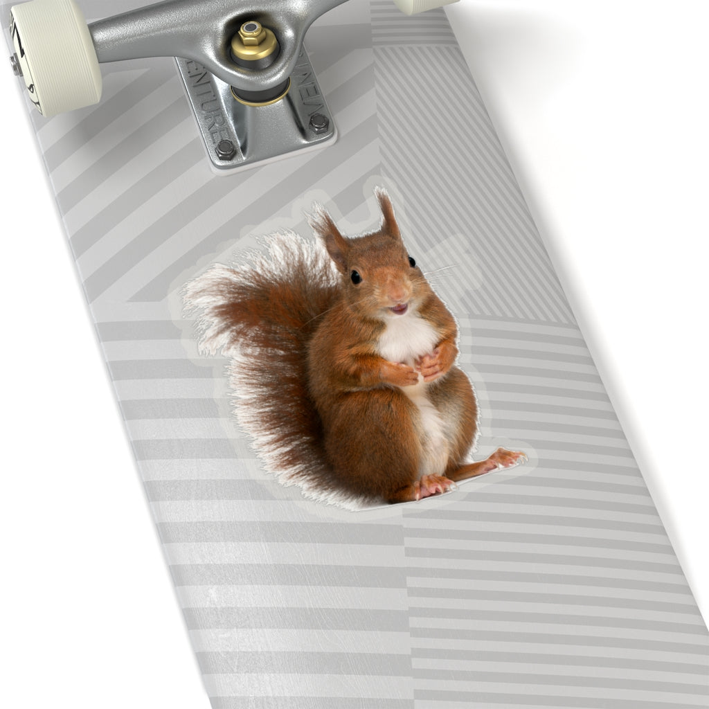 Red Squirrel Sticker, Animal Eurasian Laptop Decal Vinyl Cute Waterbottle Tumbler Car Waterproof Aesthetic Die Cut Wall Mural Starcove Fashion