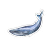 Humpback Whale Sticker, Blue Watercolor vsco Laptop Vinyl Cute Waterpr ...