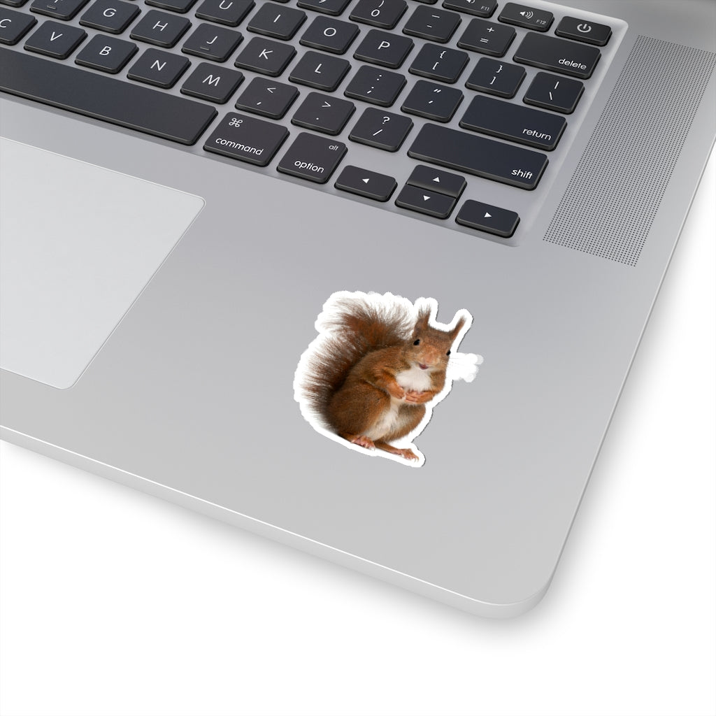 Red Squirrel Sticker, Animal Eurasian Laptop Decal Vinyl Cute Waterbottle Tumbler Car Waterproof Aesthetic Die Cut Wall Mural Starcove Fashion