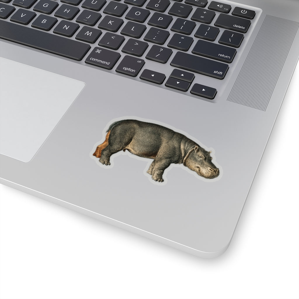 Hippo Sticker, Hippopotamus Animal Cute Decal Label Phone Macbook Small Large Cool Art Computer Hydro Flask Starcove Fashion
