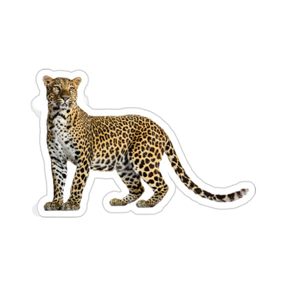 Leopard Sticker, Cheetah Panthera Cute Vinyl Decal Label Phone Transparent Clear Small Large Cool Art Computer Hydro Flask Starcove Fashion