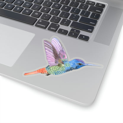 Hummingbird Sticker, Watercolor Bird Laptop Decal Vinyl Cute Animal Waterbottle Tumbler Car Waterproof Bumper Aesthetic Wall Mural Starcove Fashion