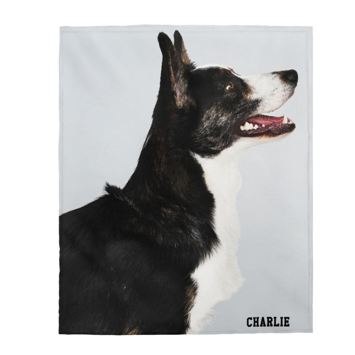 Personalized Dog Blanket, Custom Photo Name Pet Loss Memorial Velveteen Remembrance Fleece Throw Blanket Small Large Sofa Couch Decor Gifts Starcove Fashion