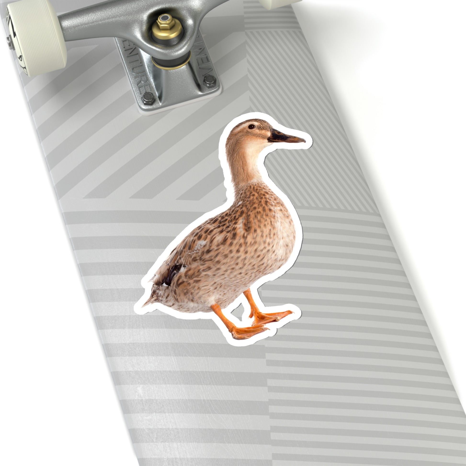 Duck Sticker, Farm Animal Laptop Decal Vinyl Cute Waterbottle Tumbler Car Waterproof Bumper Aesthetic Die Cut Wall Mural Starcove Fashion