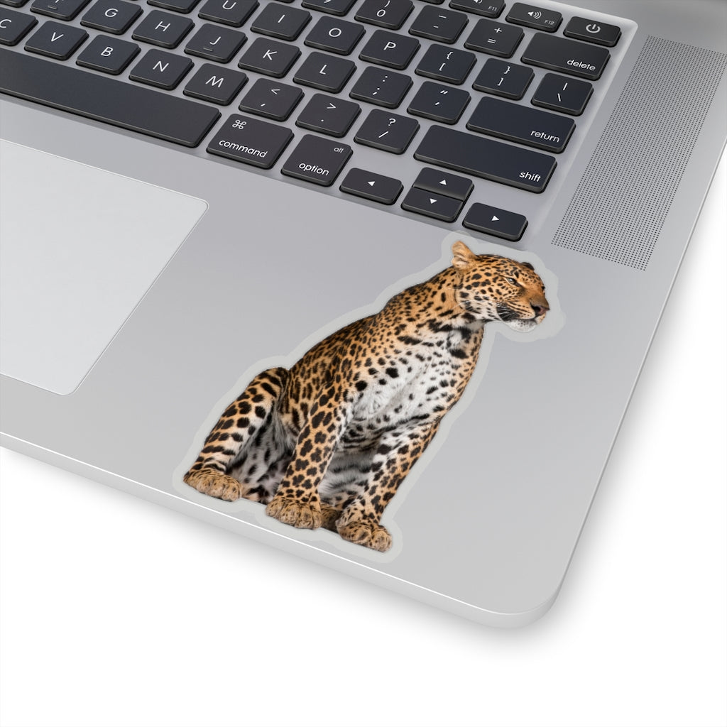 Leopard Sticker, Animal Cheetah Laptop Decal Vinyl Cute Waterbottle Tumbler Car Waterproof Bumper Aesthetic Die Cut Wall Mural Starcove Fashion
