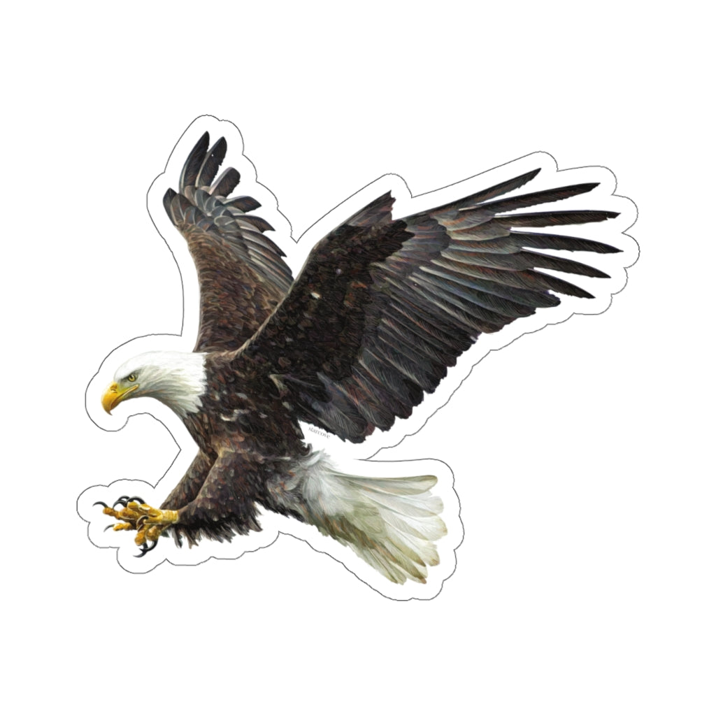 Bald eagle - head' Sticker