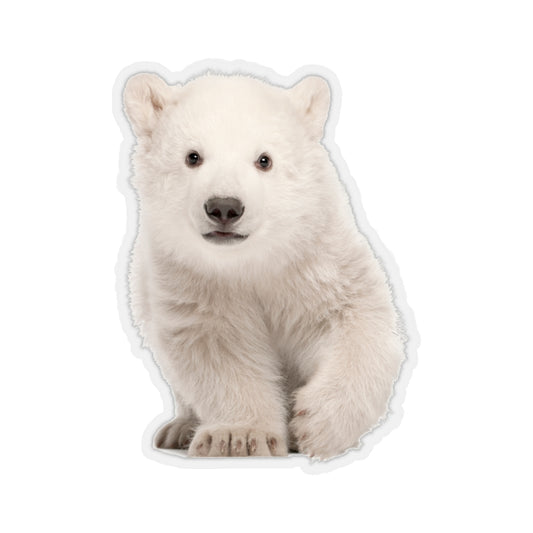 Polar Bear Cub Sticker, Animal Kawaii Laptop Decal Vinyl Cute Waterbottle Tumbler Car Waterproof Aesthetic Die Cut Wall Mural Starcove Fashion