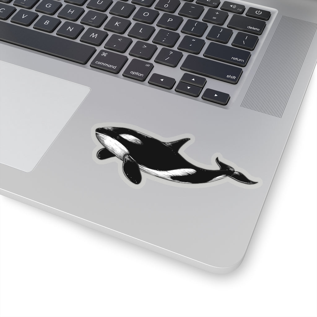 Orca Whale Stickers, Killer Whale Ocean Animal Laptop Vinyl Cute Waterproof Waterbottle Tumbler Car Bumper Aesthetic Wall Art Decal Starcove Fashion