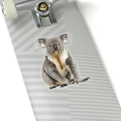Koala Bear Sticker, Male Australian Animal Cute Vinyl Decal Label Phone Transparent Clear Small Large Cool Art Computer Hydro Flask Starcove Fashion