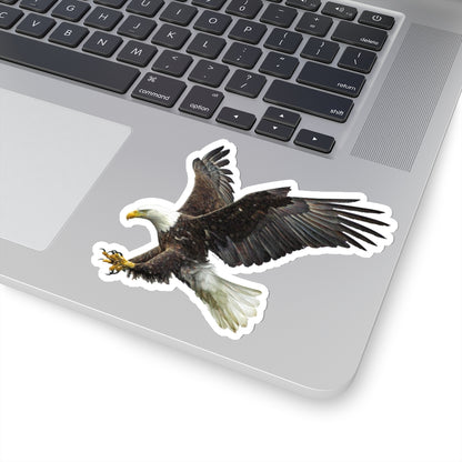 Bald Eagle Sticker, Claw flying American Bird Raptor Laptop Decal Vinyl Waterbottle Tumbler Car Bumper Aesthetic Die Cut Wall Starcove Fashion