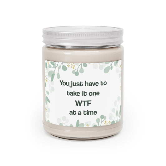 Funny One WTF a Time Scented Candle,  Aromatherapy Snarky Gifts Friends Handmade Natural Soy Wax Mom Dad Her Him Gift Starcove Fashion