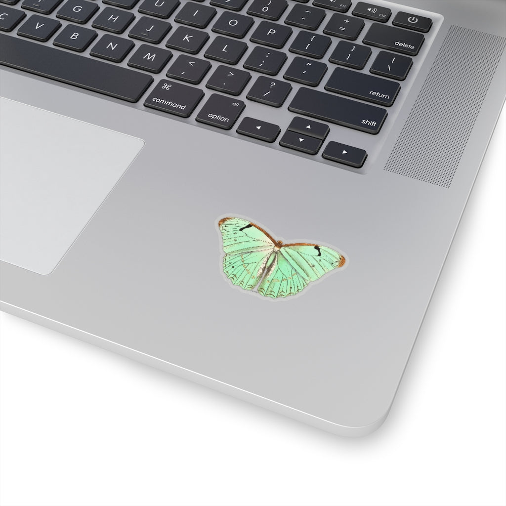 Green Butterfly Sticker, Animal Laptop Decal Vinyl Cute Waterbottle Tumbler Car Waterproof Bumper Aesthetic Die Cut Wall Mural Starcove Fashion