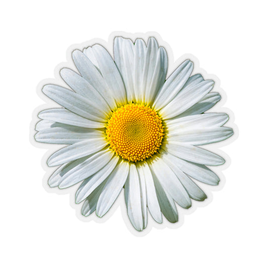 Daisy Sticker Decal, White Flower Car Laptop Decal Vinyl Cute Waterbottle Tumbler Bumper Aesthetic Window Wall Mural Starcove Fashion