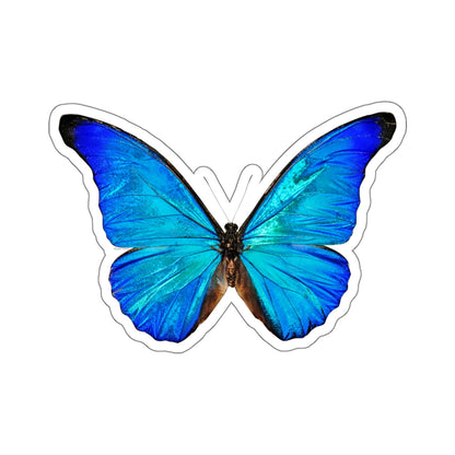 Blue Butterfly Sticker, Morpho Anaxibia Realistic Stickers Laptop Vinyl Cute Water bottle Car Label Girl Wall Phone Mural Decal Die Cut Starcove Fashion