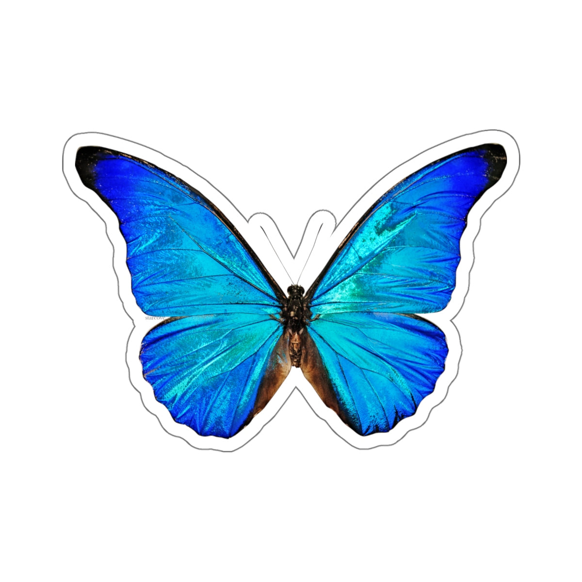 Blue Speckled Butterfly Sticker