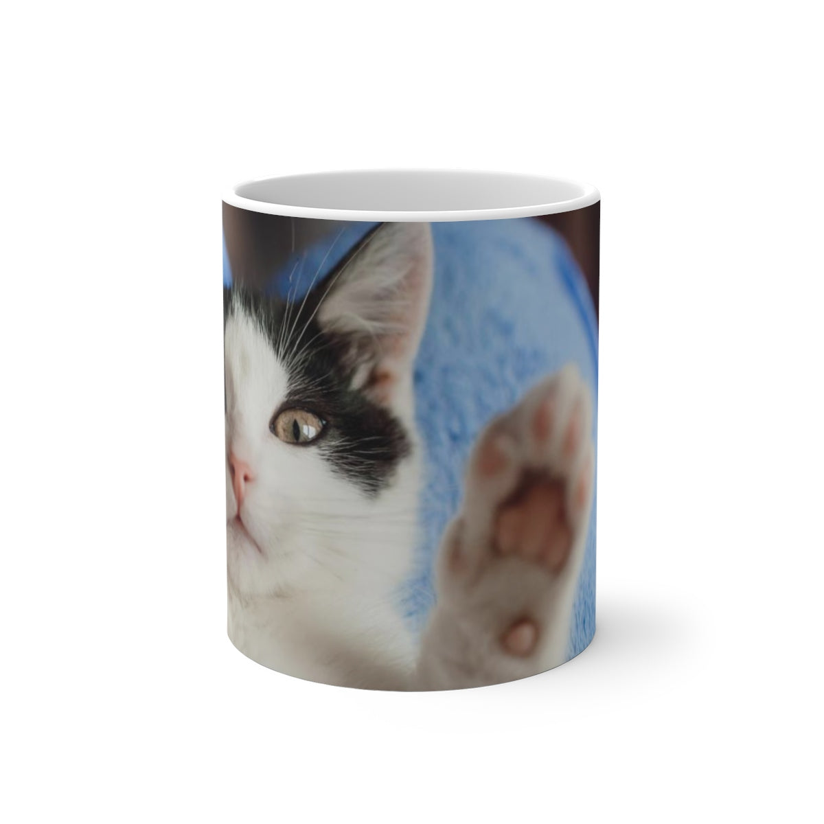 Color Changing Mug, Custom Photo Magic Mug, Heat Change Unique Personalized Gift for Him Her Friend Family Cat Dog Baby Mom Dad Gift of Love Starcove Fashion