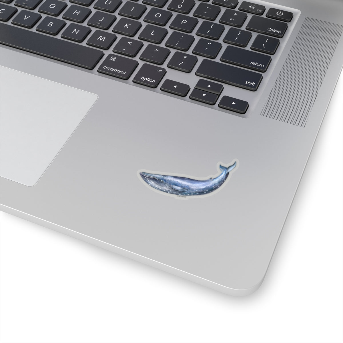 Humpback Whale Sticker, Blue Watercolor vsco Laptop Vinyl Cute Waterproof for Waterbottle Tumbler Car Bumper Aesthetic Label Wall Decal Starcove Fashion