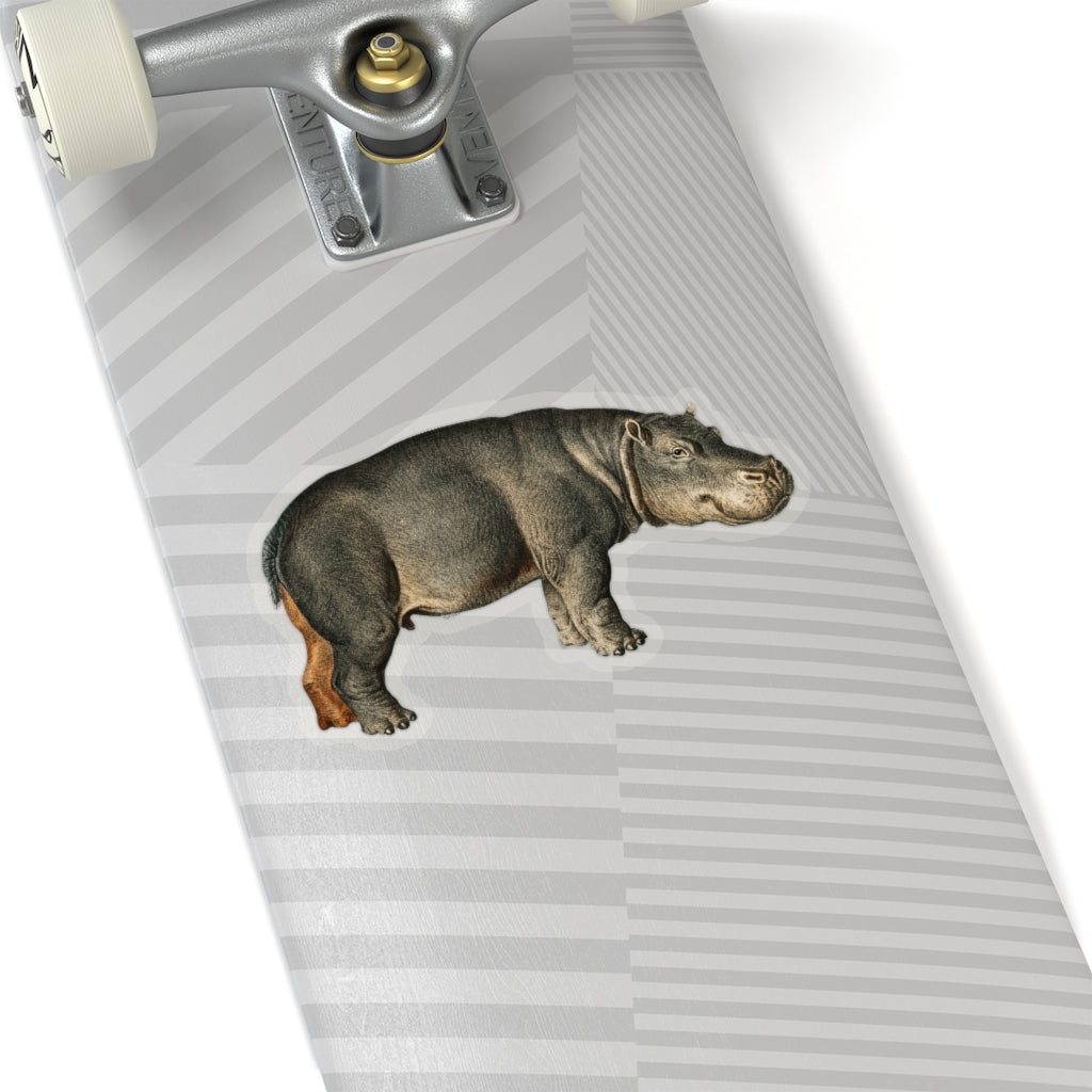 Hippo Sticker, Hippopotamus Animal Cute Decal Label Phone Macbook Small Large Cool Art Computer Hydro Flask Starcove Fashion