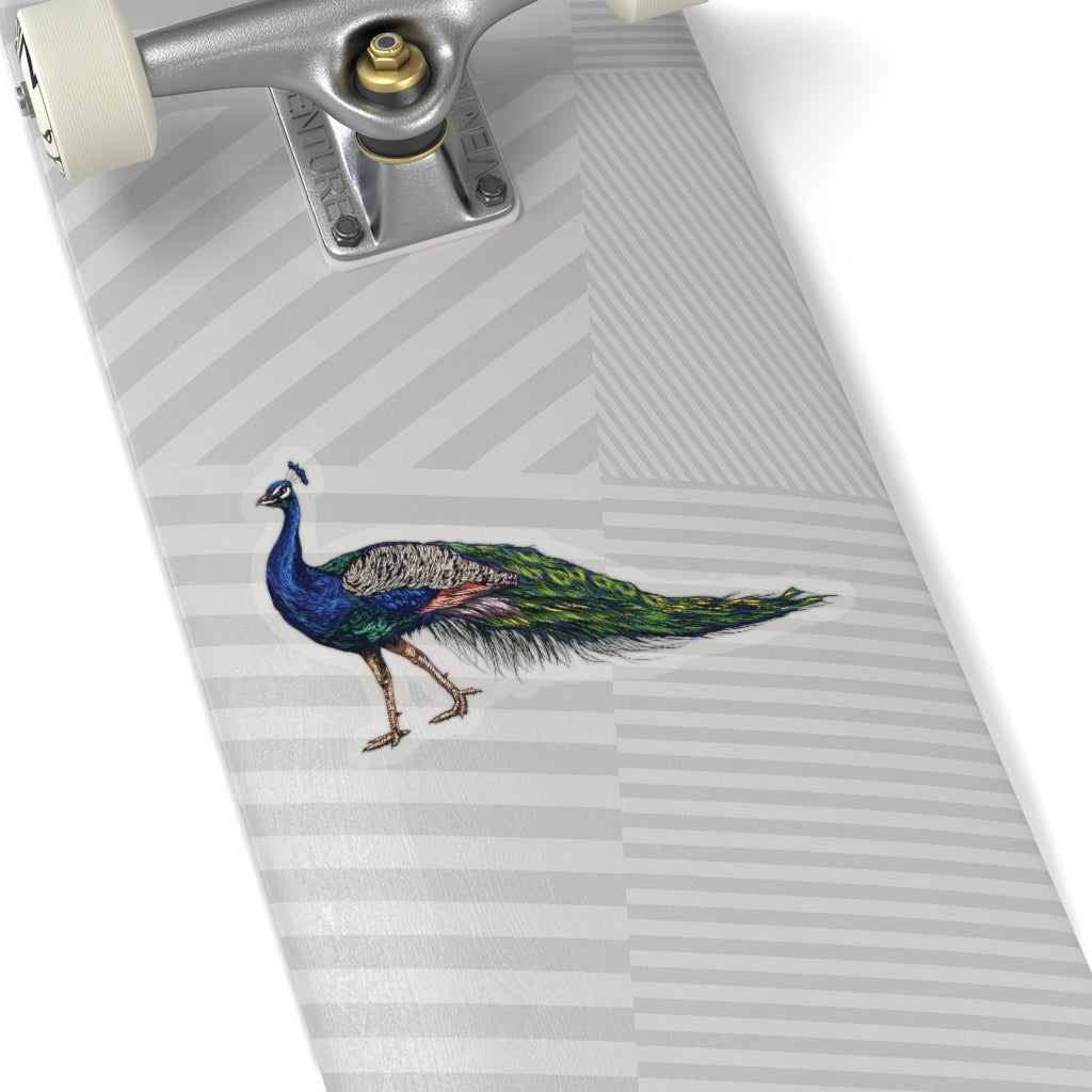 Peacock Sticker, Bird Feathers Cute Vinyl Decal Label Phone Transparent Clear Small Large Cool Art Computer Hydro Flask Starcove Fashion