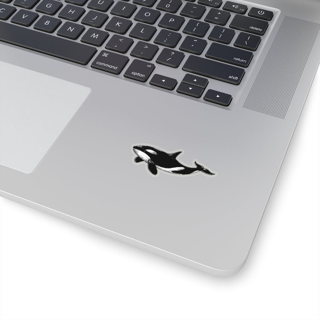 Orca Whale Stickers, Killer Whale Ocean Animal Laptop Vinyl Cute Waterproof Waterbottle Tumbler Car Bumper Aesthetic Wall Art Decal Starcove Fashion