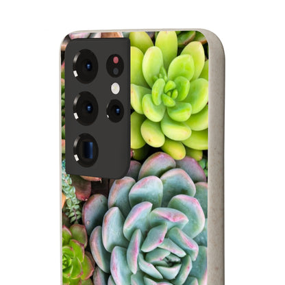 Cactus Eco Phone Case, Succulent iPhone 13 12 11 Pro Biodegradable Mini Plant Samsung Galaxy S20 S21 S22 Eco Friendly Starcove Fashion