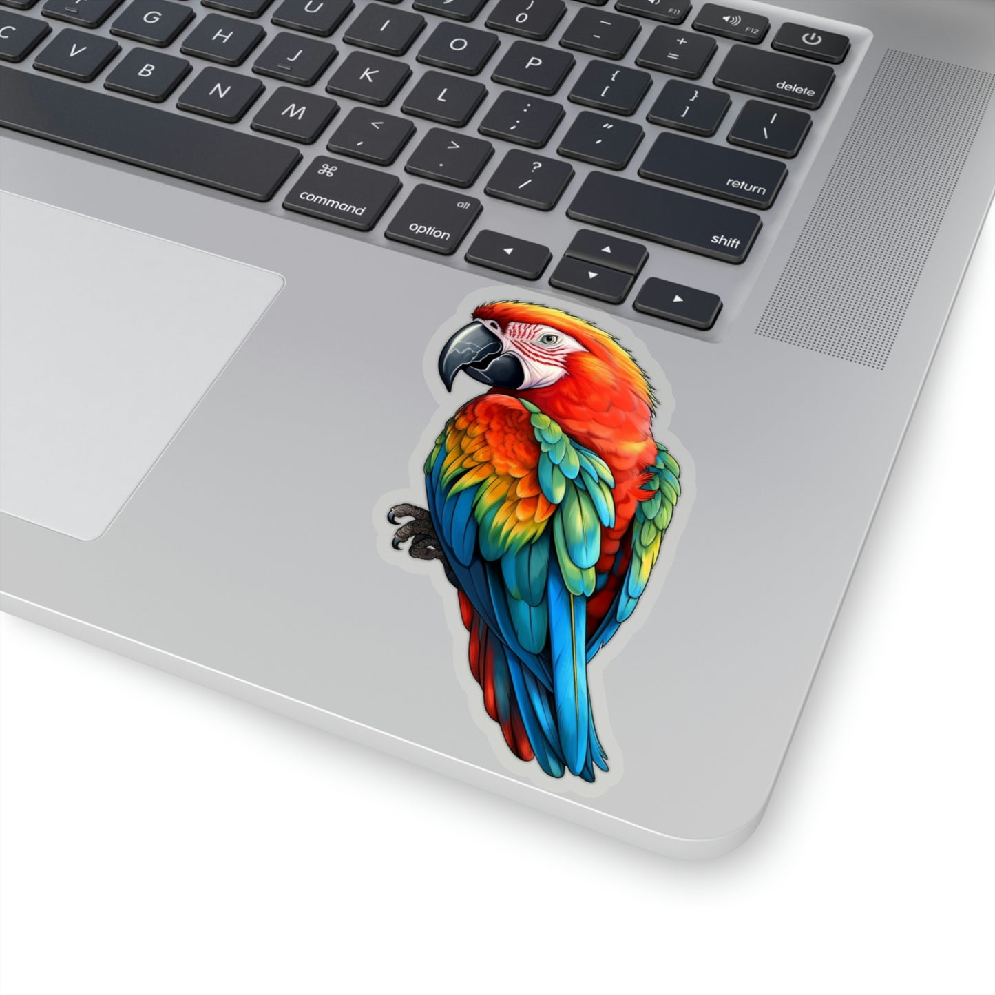 Parrot Sticker, Tropical Bird Laptop Decal Vinyl Cute Waterbottle Tumbler Car Waterproof Bumper Aesthetic Die Cut Wall Mural
