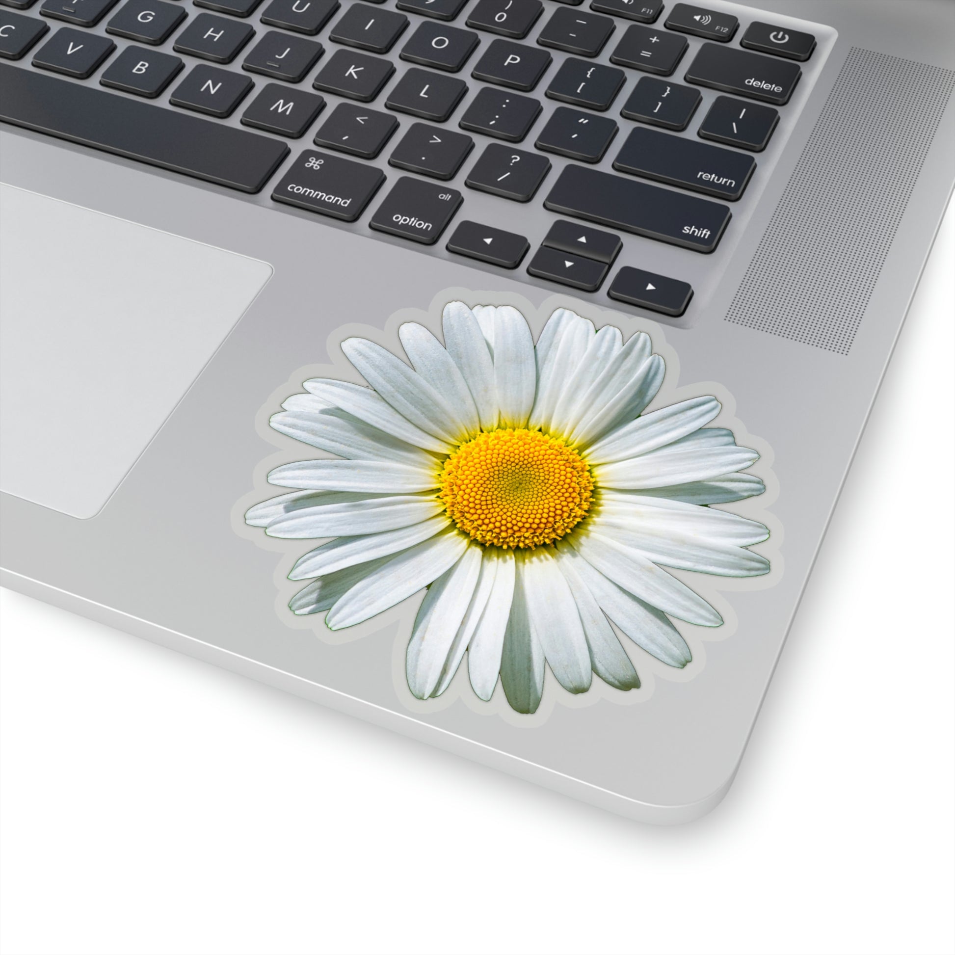 Daisy Sticker Decal, White Flower Car Laptop Decal Vinyl Cute Waterbottle Tumbler Bumper Aesthetic Window Wall Mural Starcove Fashion