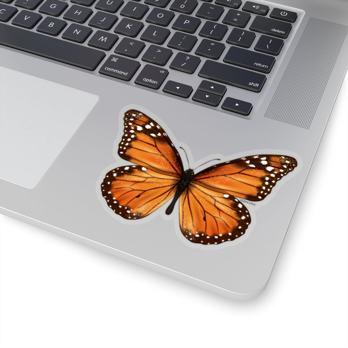 Monarch Butterfly Decal Art Stickers decoration Insect Laptop Vinyl Cute Waterproof Waterbottle Tumbler Car Bumper Aesthetic Label Wall Starcove Fashion